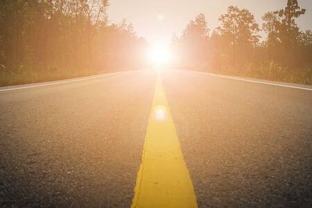 The road where the trees are on the side of the roadの写真素材