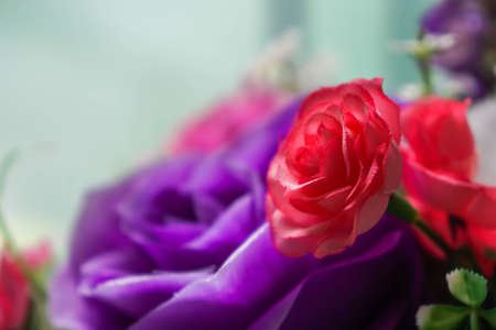 Photos of red artificial flowersの写真素材