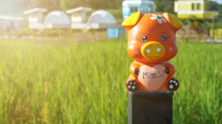 Garden doll with a miss you message, love day idea or valentine dayの写真素材