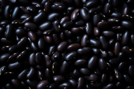 Dry black bean isolated on white background.の素材