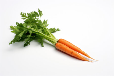 A carrot with green leaves on white background.の素材