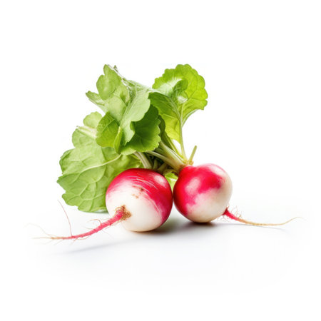 A radish with green leaves on white background.の素材