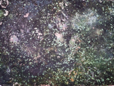 Old brick wall grunge backgroundの写真素材