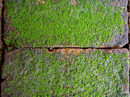 Old brick wall grunge backgroundの写真素材