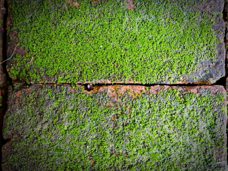 Old brick wall grunge backgroundの写真素材
