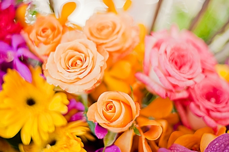  Beautiful roses background Bouquet roses in various colorsの写真素材