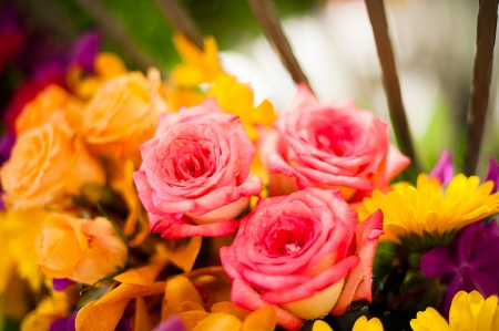  Beautiful roses background Bouquet roses in various colorsの写真素材