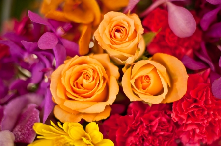  Beautiful roses background Bouquet roses in various colorsの写真素材