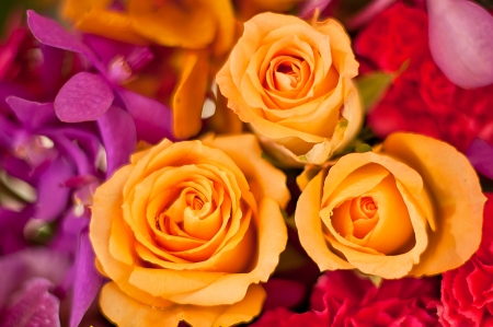  Beautiful roses background Bouquet roses in various colorsの写真素材