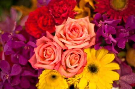  Beautiful roses background Bouquet roses in various colorsの写真素材