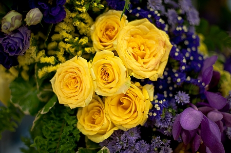  Beautiful roses background Bouquet roses in various colorsの写真素材