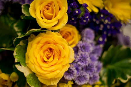  Beautiful roses background Bouquet roses in various colorsの写真素材