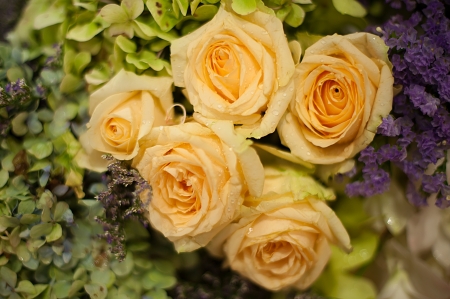  Beautiful roses background Bouquet roses in various colorsの写真素材