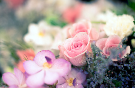 Beautiful roses background Bouquet roses in various colors