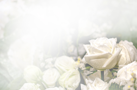 abstract flower backgroundの写真素材