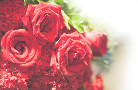 abstract flower background.の写真素材