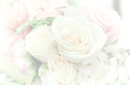 abstract flower backgroundの写真素材