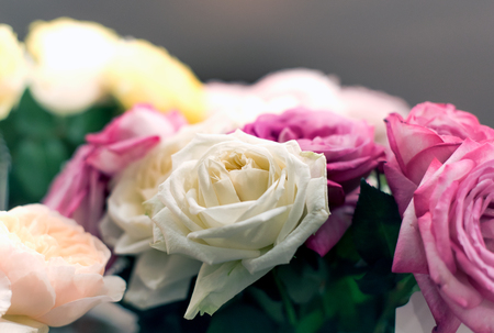 Beautiful roses background Bouquet roses in various colorsの写真素材