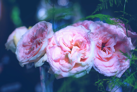 Beautiful roses background Bouquet roses in various colorsの写真素材