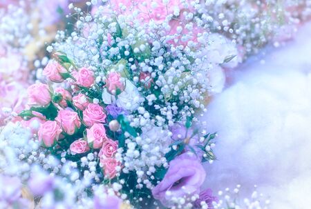 Soft color Roses Background Retro filter.の写真素材