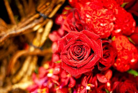 Bouquet of fresh roses, flower bright background.の写真素材
