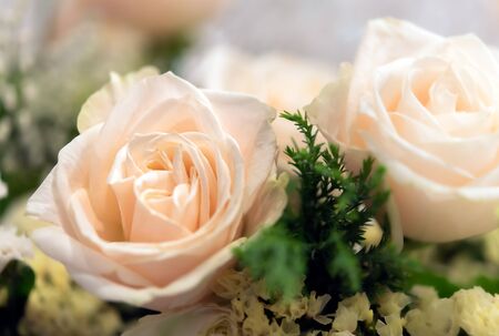 Bouquet of fresh roses, flower bright background.の写真素材