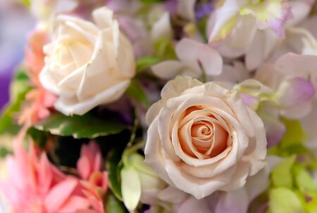 Bouquet of fresh roses, flower bright background.の写真素材