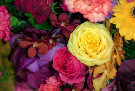 beautiful flowers wall background with amazing rosesの写真素材