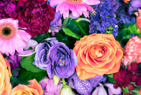 beautiful flowers wall background with amazing rosesの写真素材