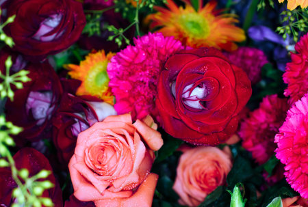 beautiful flowers wall background with amazing rosesの写真素材