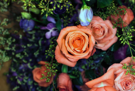 beautiful flowers wall background with amazing rosesの写真素材