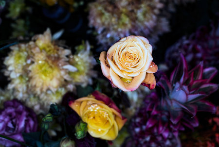 beautiful flowers wall background with amazing roses
