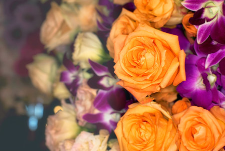 beautiful flowers wall background with amazing rosesの写真素材