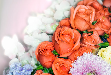 beautiful flowers wall background with amazing rosesの写真素材