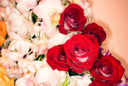 beautiful flowers wall background with amazing rosesの写真素材