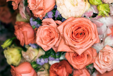 beautiful flowers wall background with amazing rosesの写真素材