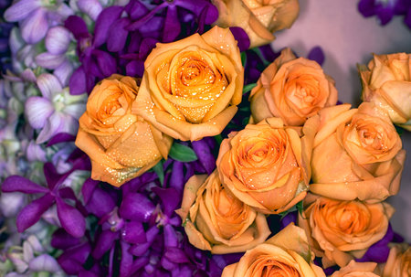 beautiful flowers wall background with amazing rosesの写真素材