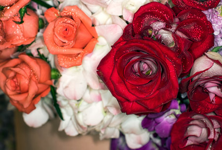 beautiful flowers wall background with amazing rosesの写真素材