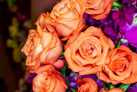 beautiful flowers wall background with amazing rosesの写真素材