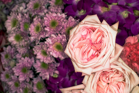 beautiful flowers wall background with amazing rosesの写真素材