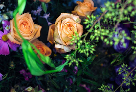 beautiful flowers wall background with amazing roses