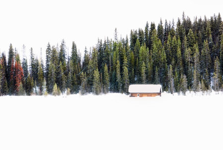 A wooden house in a beautiful pine forest in the snowの写真素材