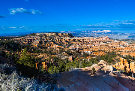 The Bryce Canyon National Park, Utah, United Statesの写真素材