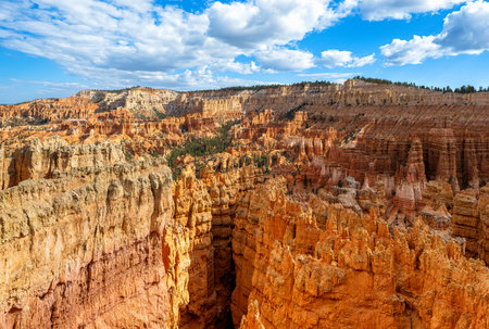 The Bryce Canyon National Park, Utah, United Statesの写真素材