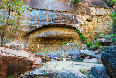 Rock formation in Zion National park, Utah, usaの写真素材