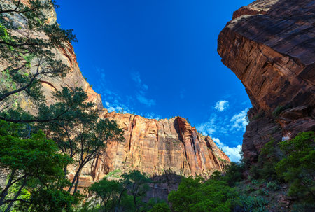 Rock formation in Zion National park, Utah, usaの写真素材