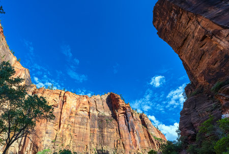 Rock formation in Zion National park, Utah, usaの写真素材