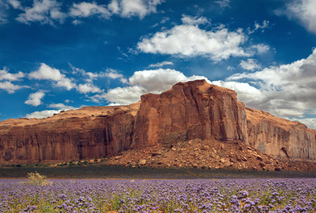 Monument Valley on the Border between Arizona and Utah, United Statesの写真素材