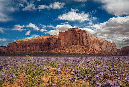 Monument Valley on the Border between Arizona and Utah, United Statesの写真素材
