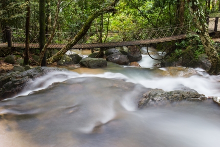 Rope bridge and waterfalls in a forestの写真素材